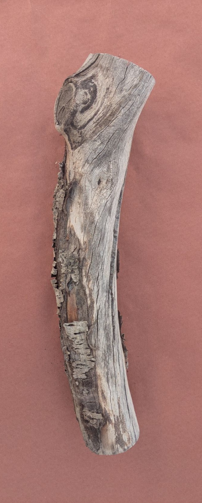 Log